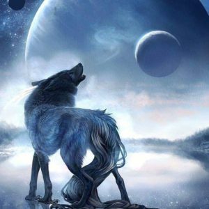Profile picture of Lonewolf38